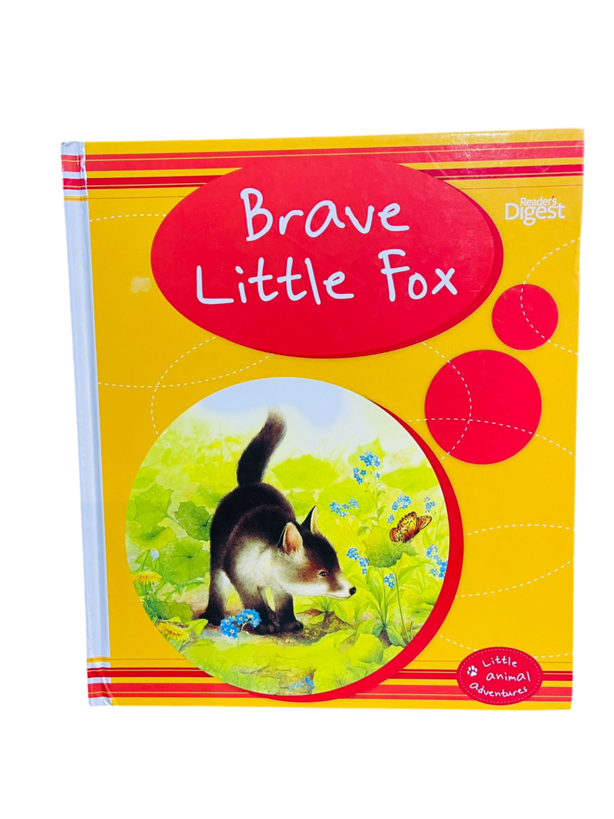 Brave Little Fox: Little Animal Adventures