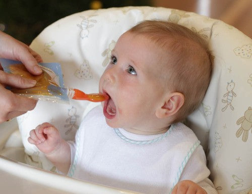 Cherub Baby On The Go Food Storage Pouch (20 Pcs)