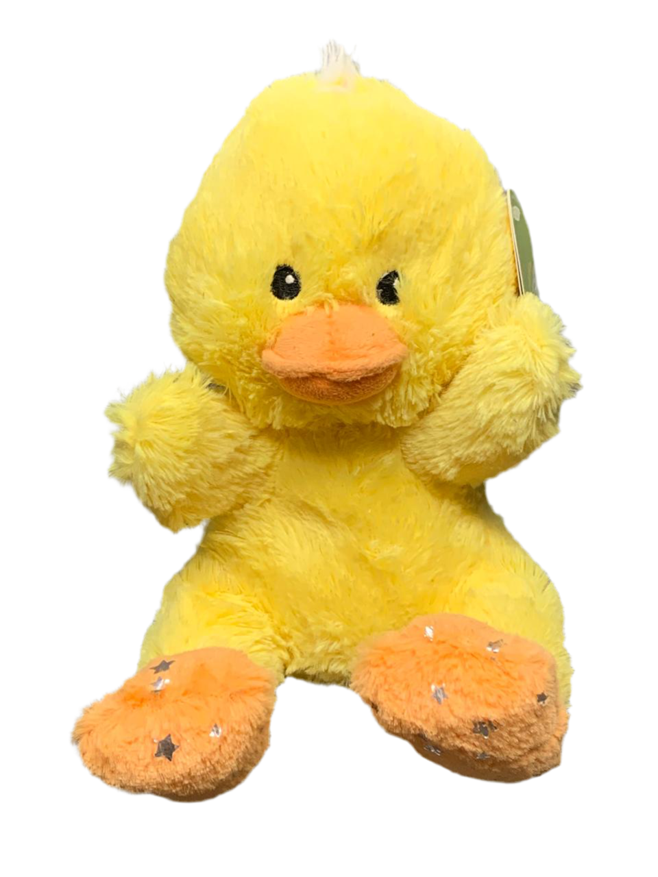 Happy Easter Duck.