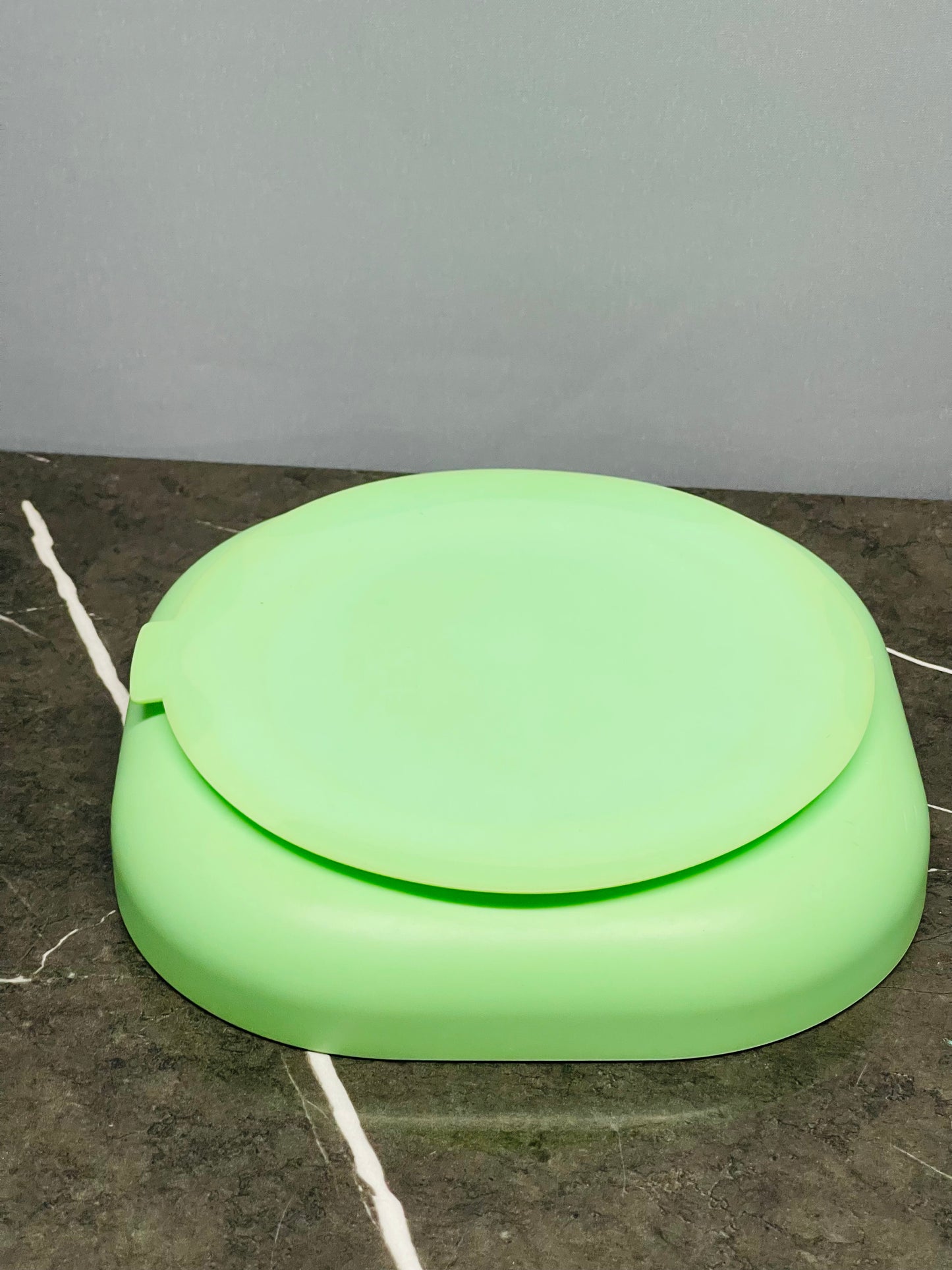 Silicone suction plate (8/10 condition) original pictures