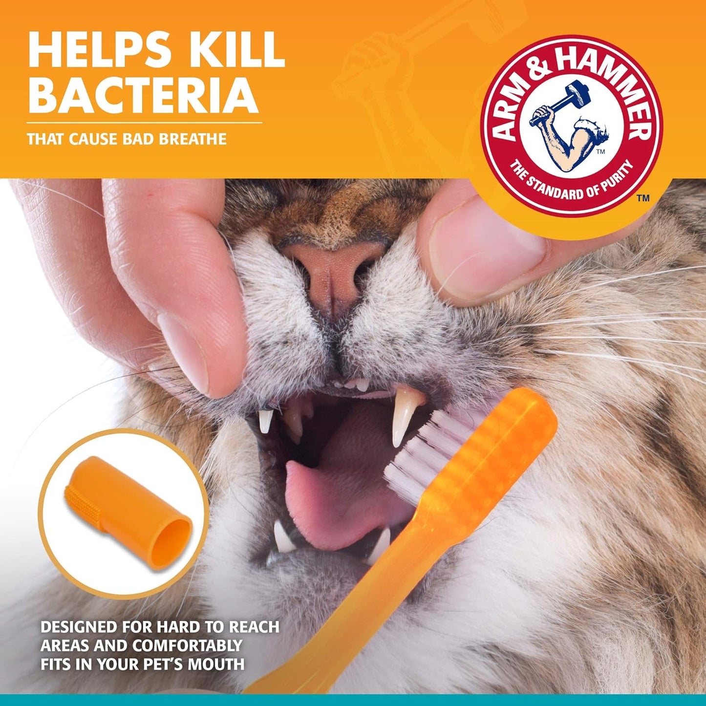 Arm & Hammer for Pets Dental Kit for Cats (paste out-of-date)