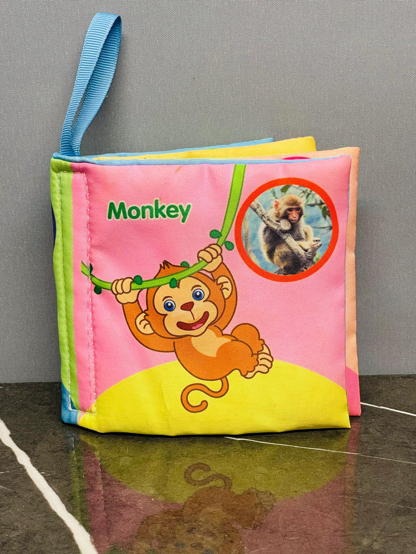 Baby's First Soft Book.