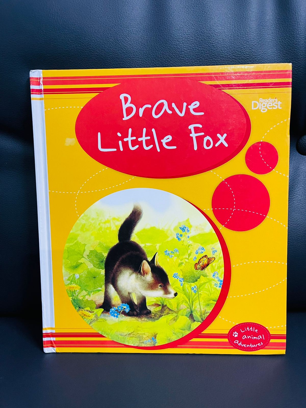 Brave Little Fox: Little Animal Adventures