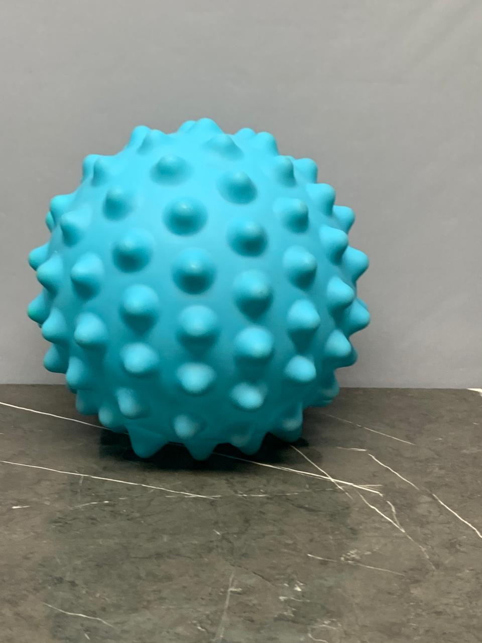 Spiky Squeaky Hedgehog Ball