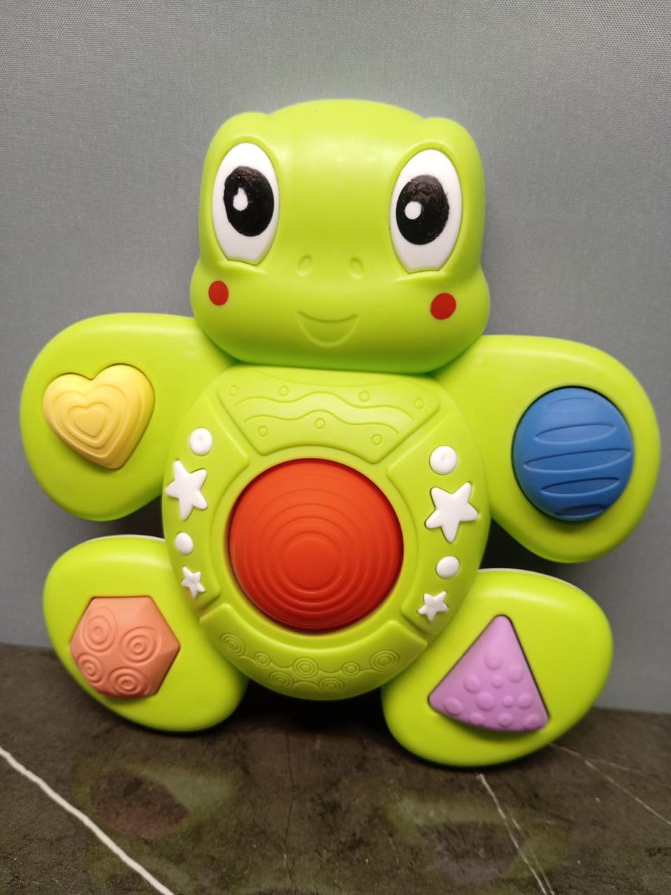 Sensory Turtle Toy - Anko