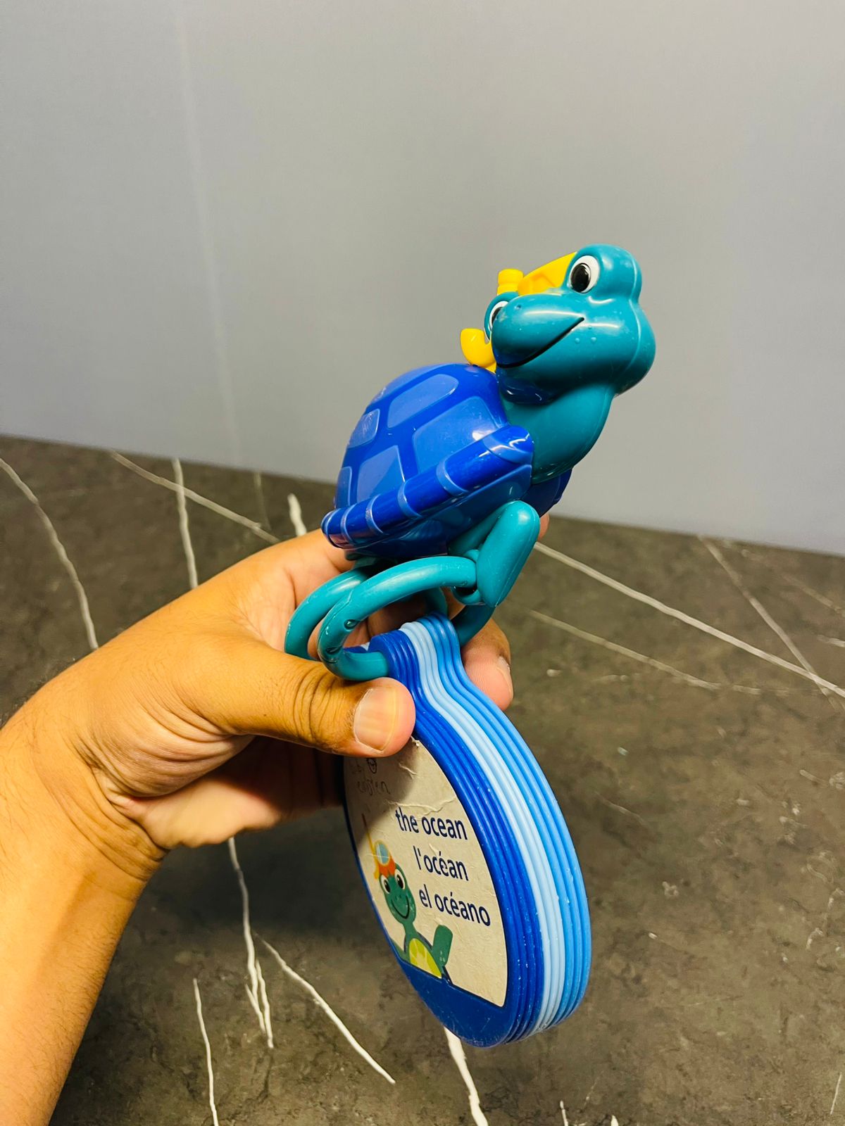 Baby Einstein Turtle with Multilingual Discovery Cards
