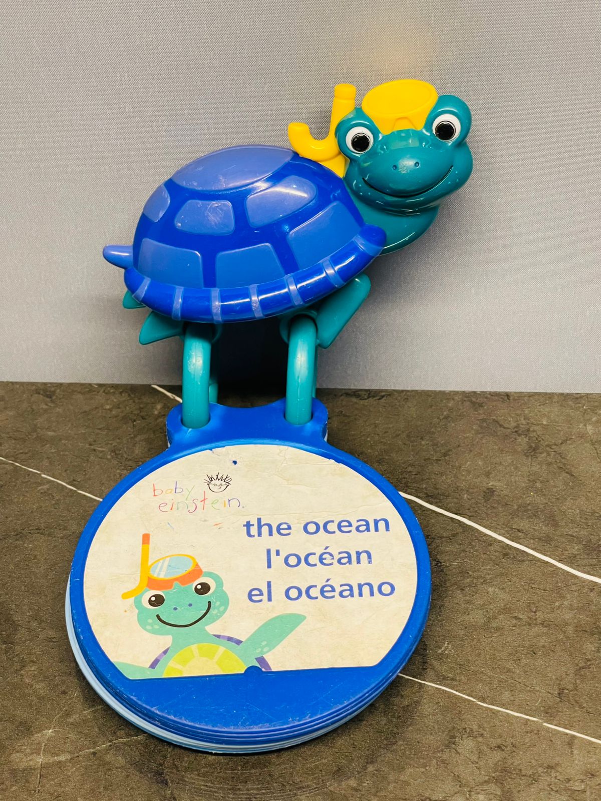Baby Einstein Turtle with Multilingual Discovery Cards