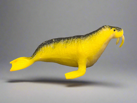 Walrus Toy.