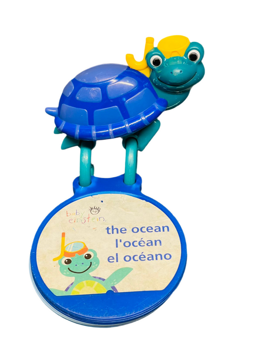 Baby Einstein Turtle with Multilingual Discovery Cards
