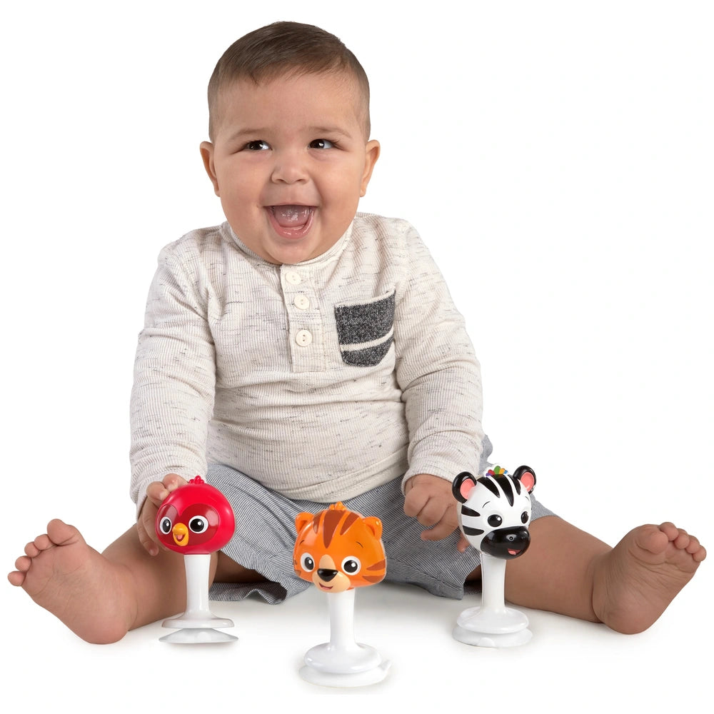 Baby Einstein Rattle & Jingle Toy.