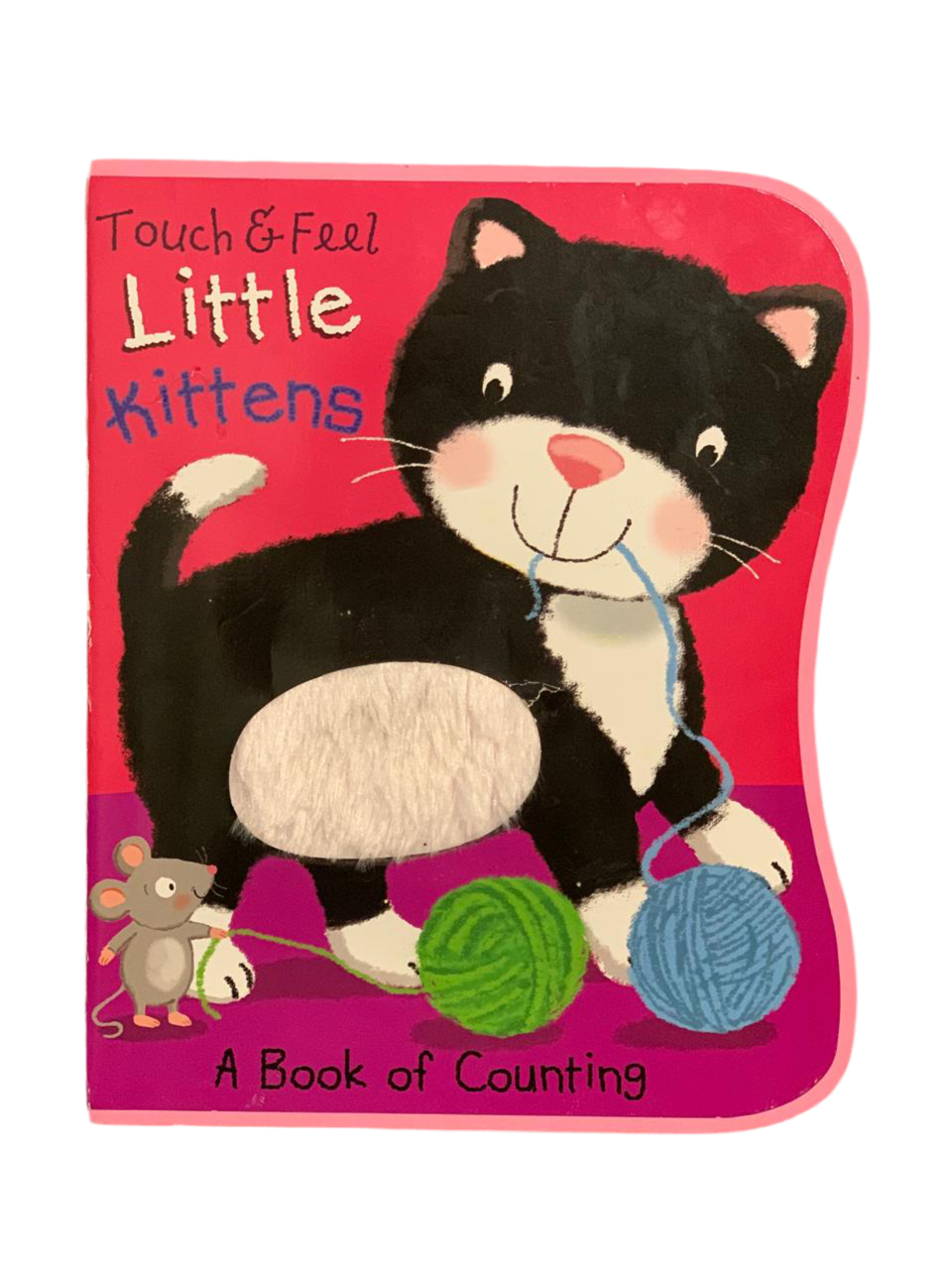Touch & Feel Little Kittens.