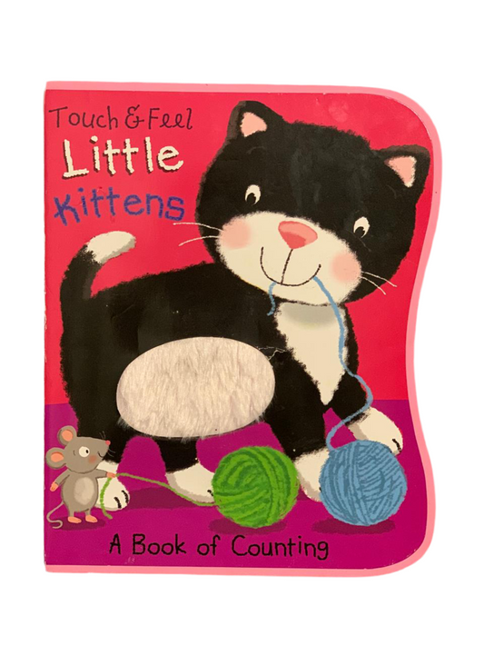 Touch & Feel Little Kittens.