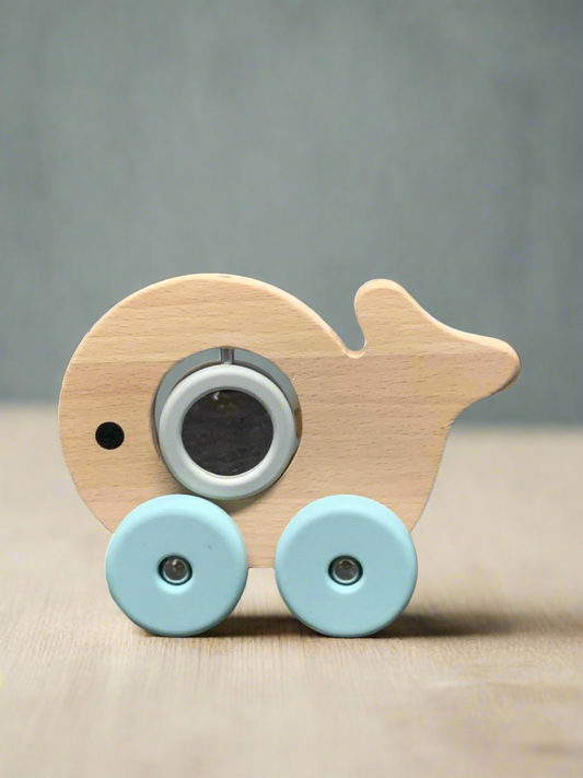 Baby Wooden Push Along Toy. (033Aa)