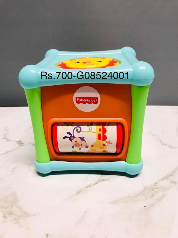 Fisher-Price Animal Activity