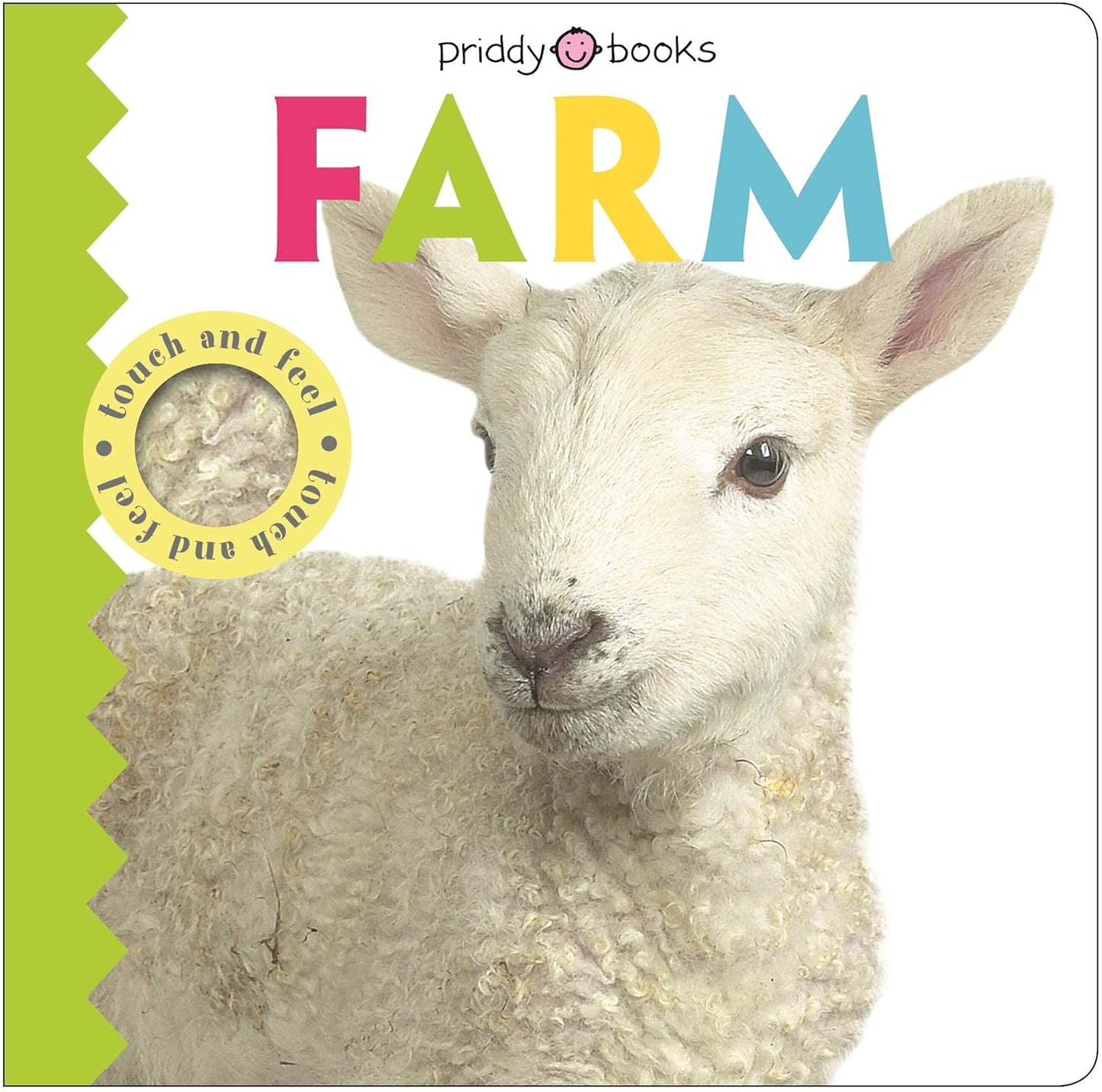Touch & Feel Friends: Farm Board Book. (Condition 9/10)