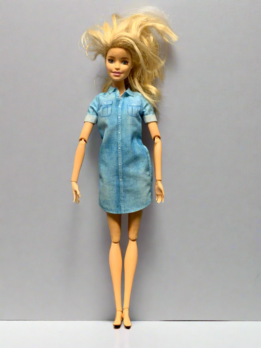 Barbie Dreamhouse Adventure Doll.
