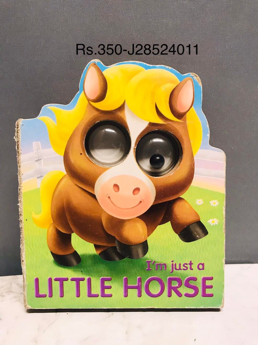 I'm Just a Little Horse (Google Eye Books)