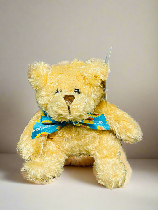 Teddy Bear (new)