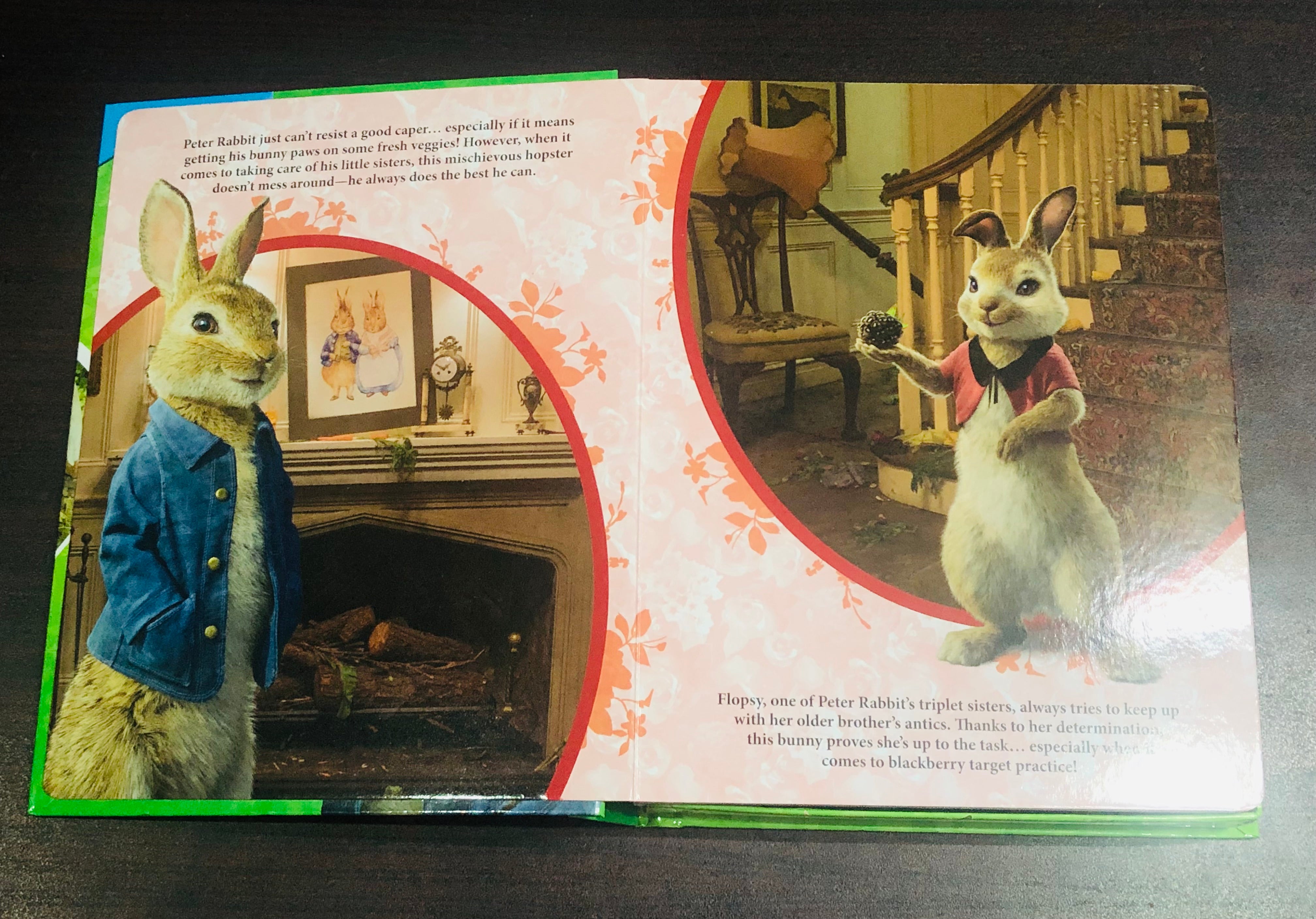 Peter Rabbit My Busy Book Storybook