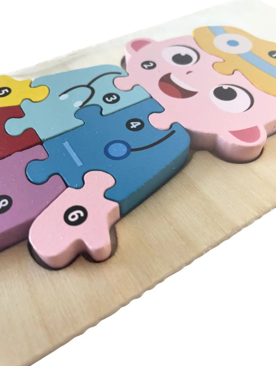 Wooden Doctor Puzzle