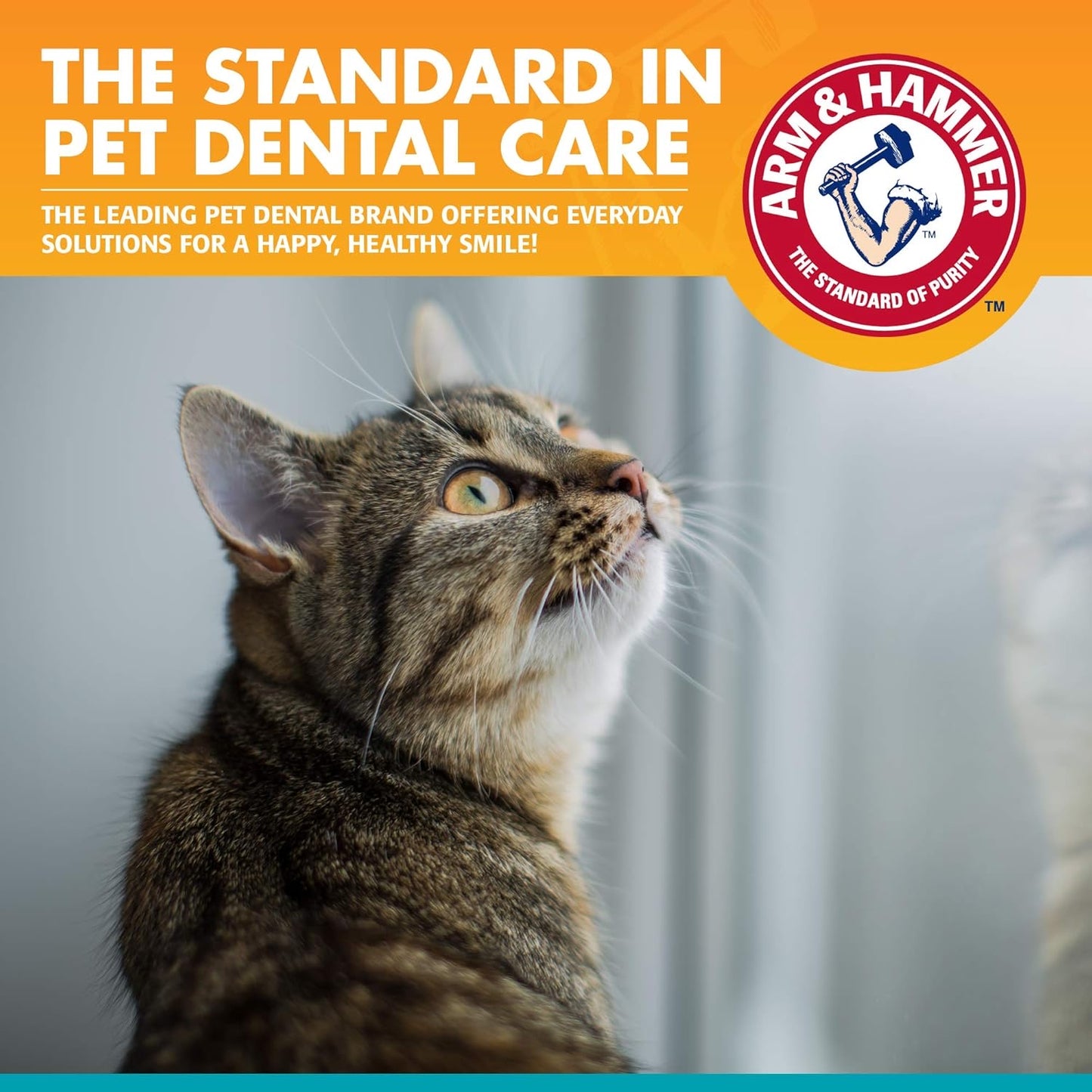 Arm & Hammer for Pets Dental Kit for Cats (paste out-of-date)