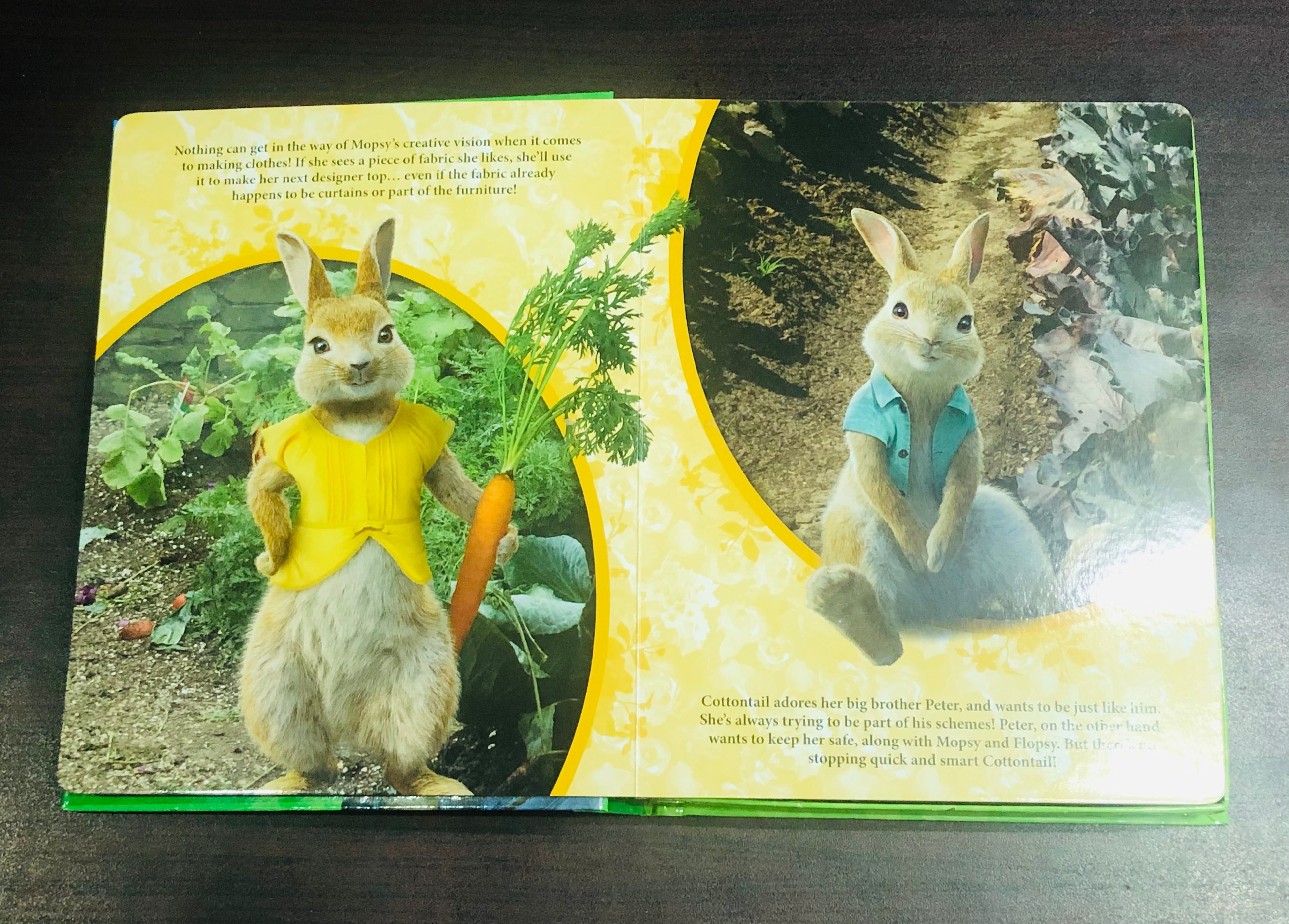 Peter Rabbit My Busy Book Storybook