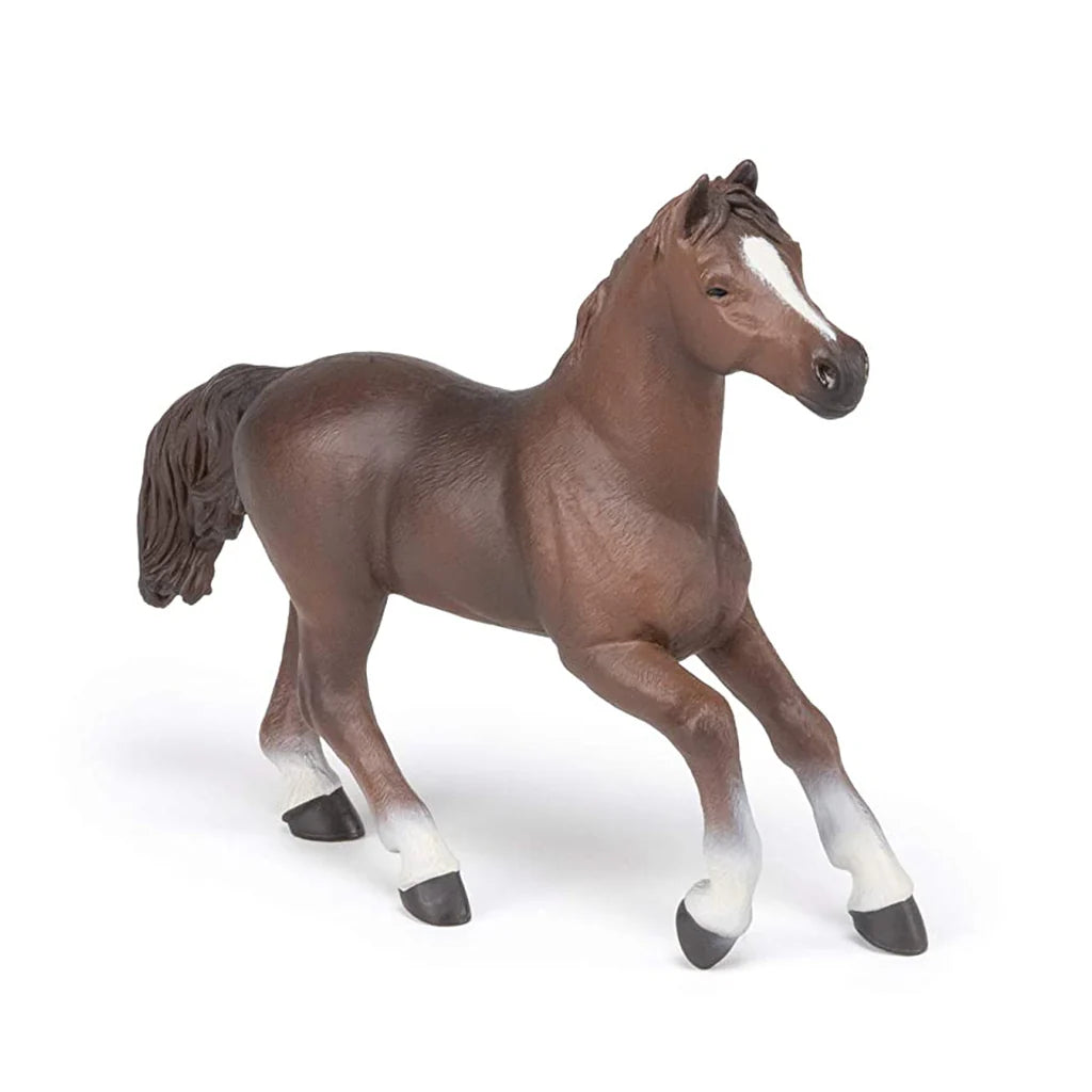 Schleich Anglo-Arabian Mare Figurine. SKU:BXL- 045