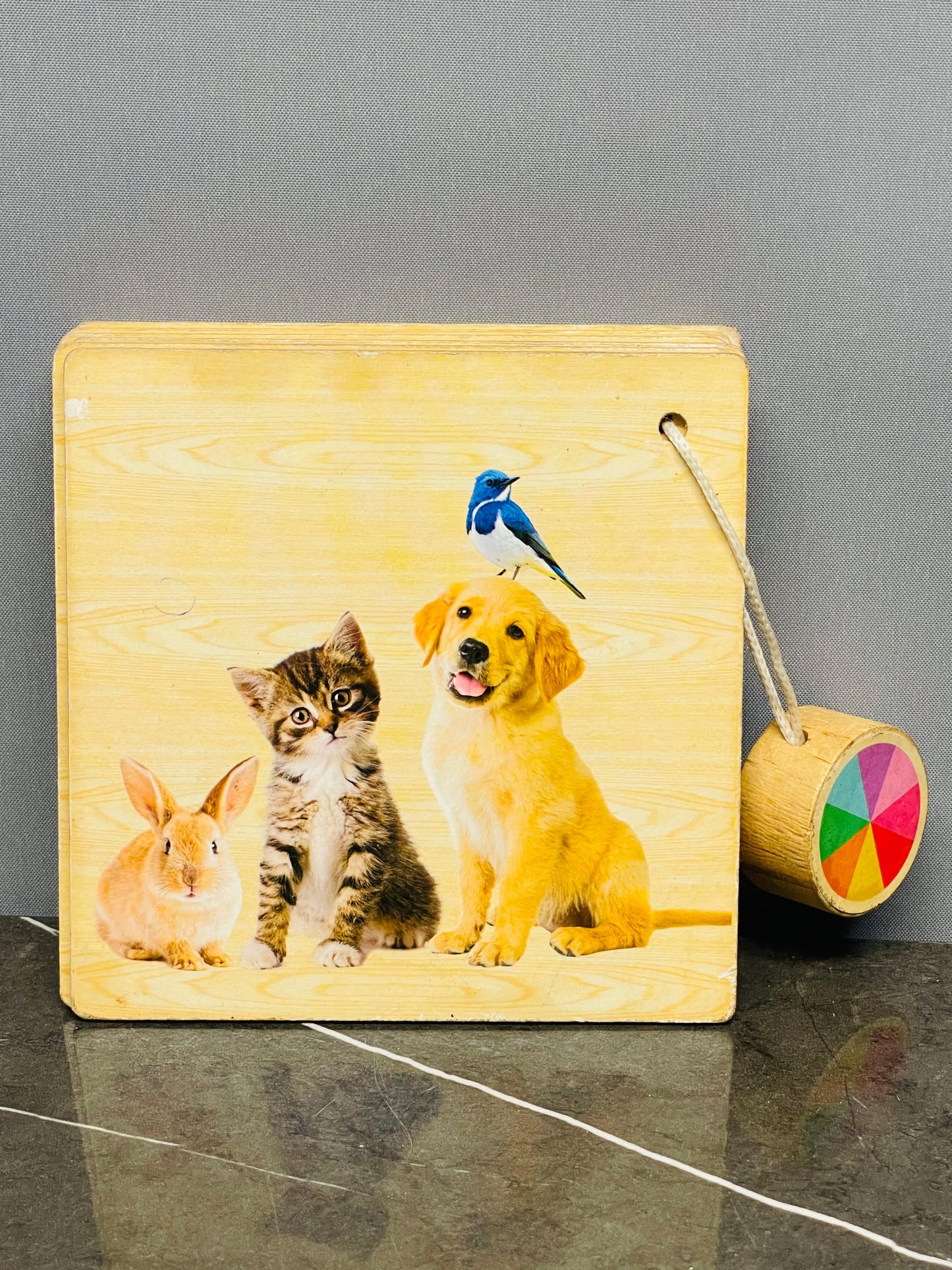 Wooden "Animals" Discovery Book with Color Wheel Toy