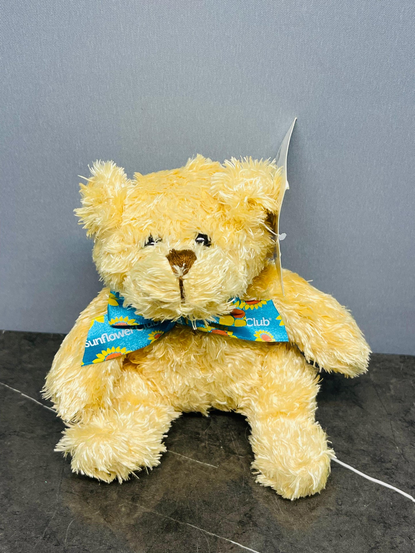 Teddy Bear (new)