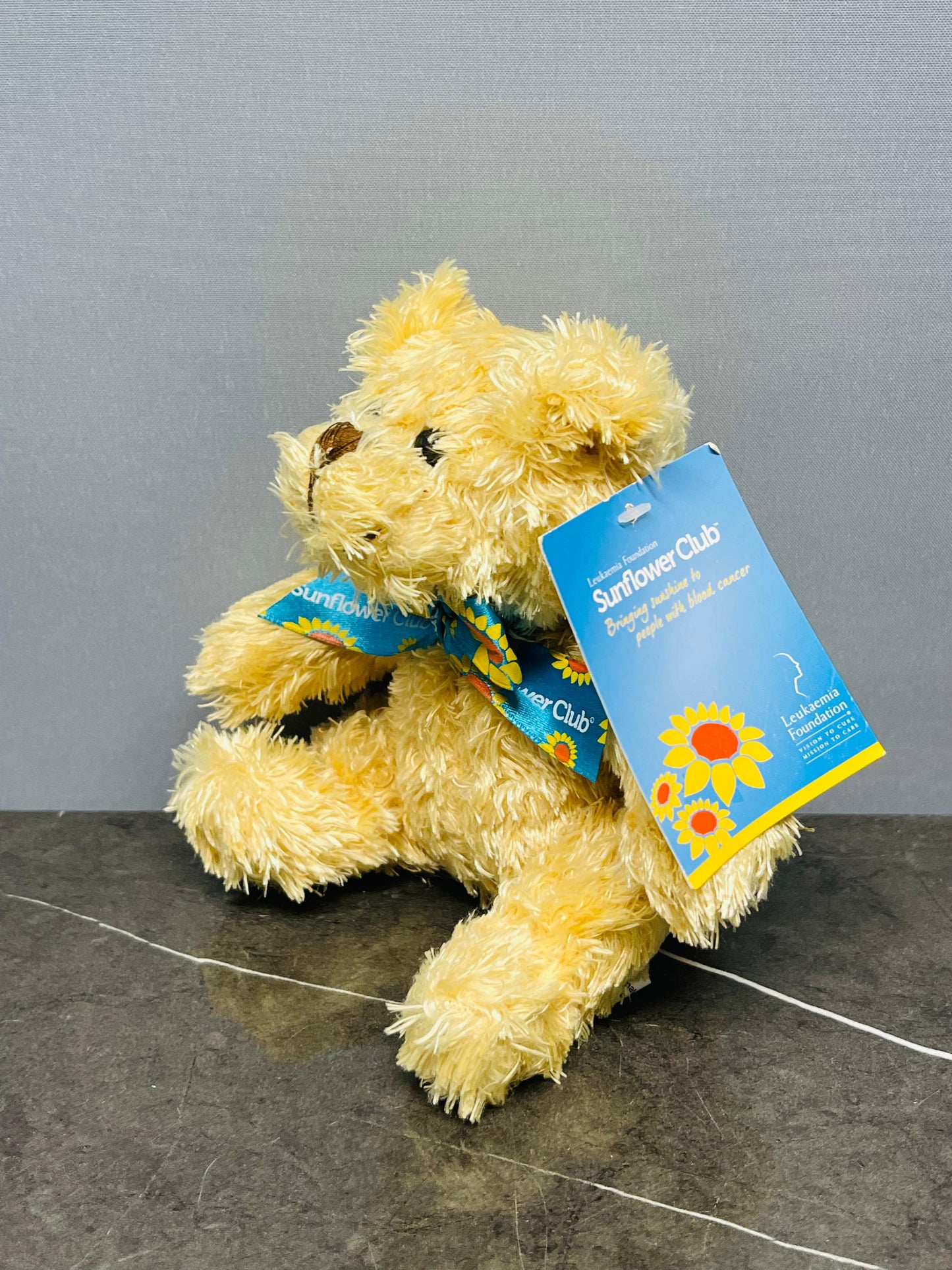 Teddy Bear (new)