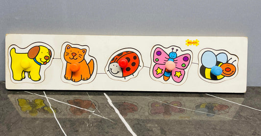 BJs Wooden Peg Puzzle.