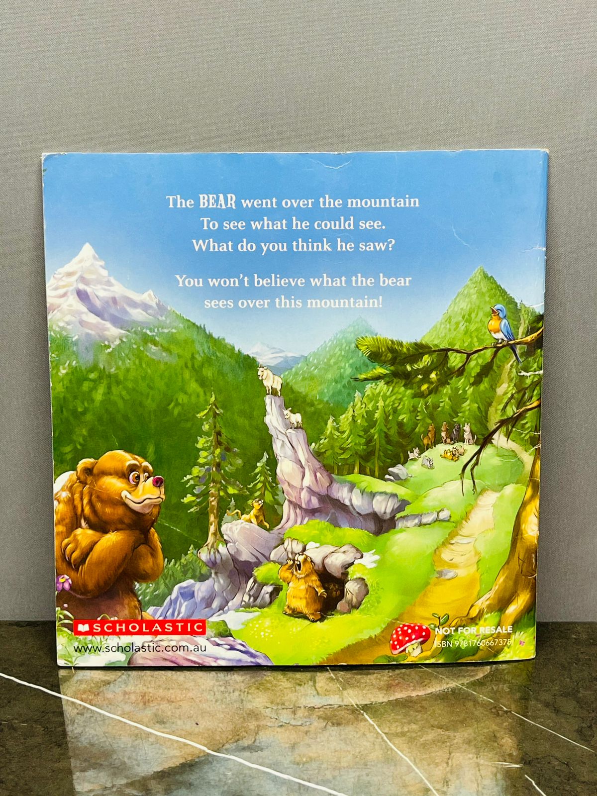 The Bear Went Over the Mountain (without CD)