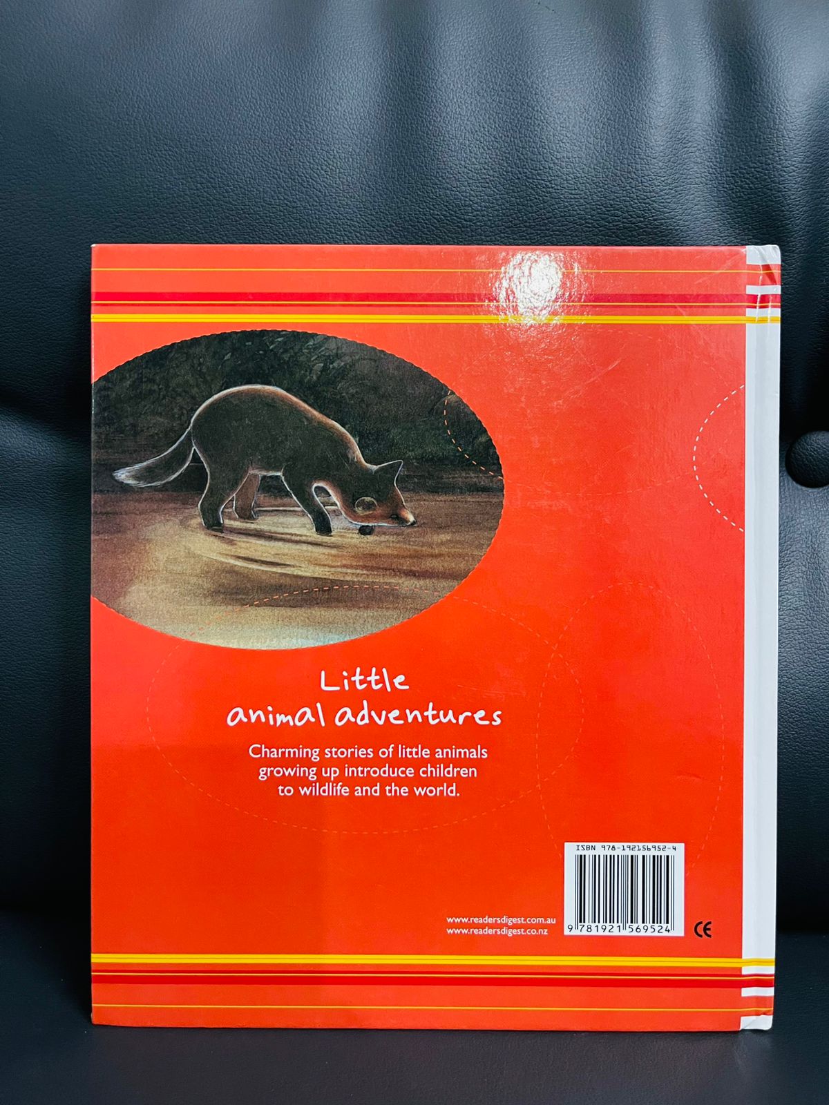 Brave Little Fox: Little Animal Adventures