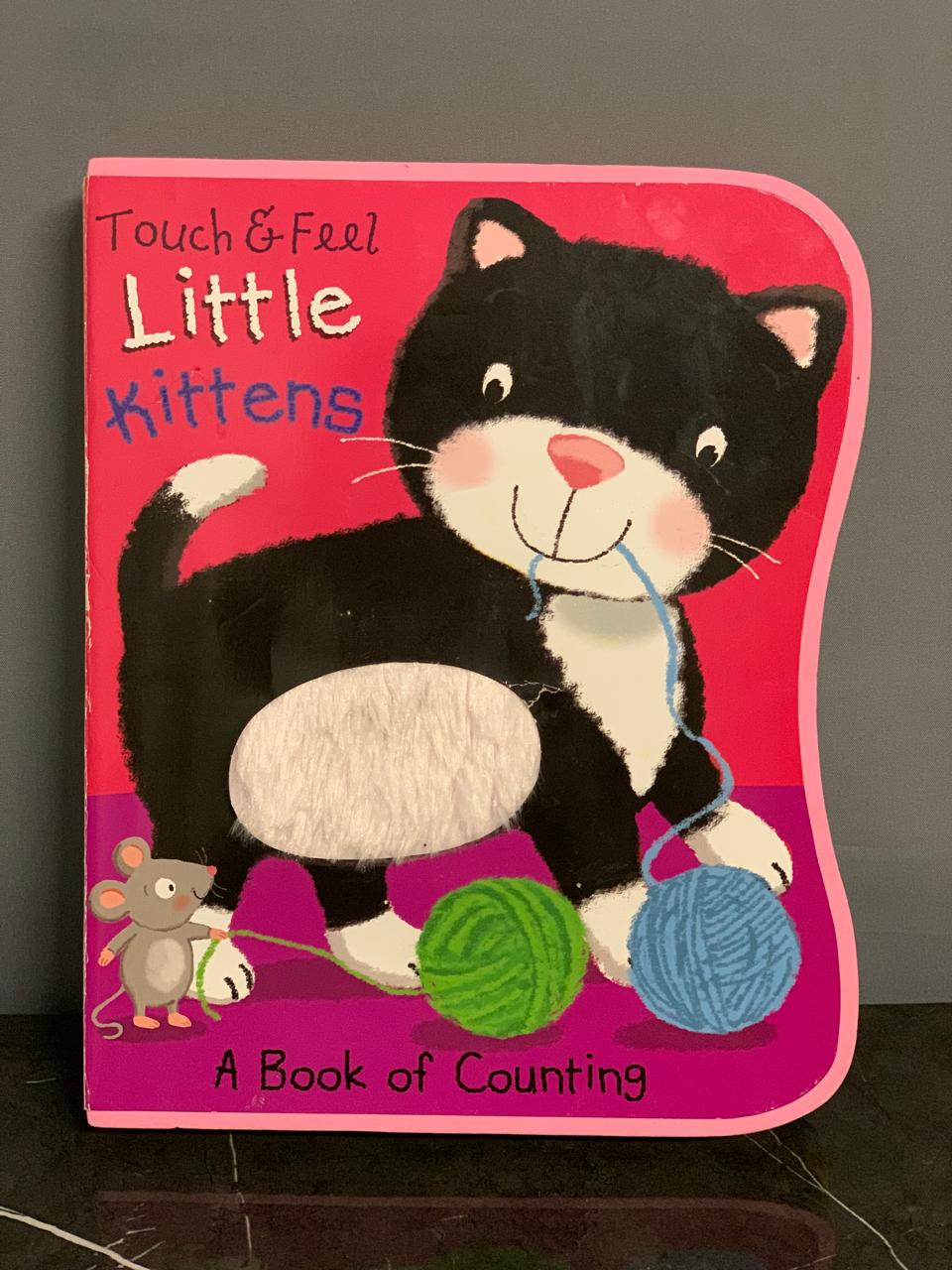 Touch & Feel Little Kittens.