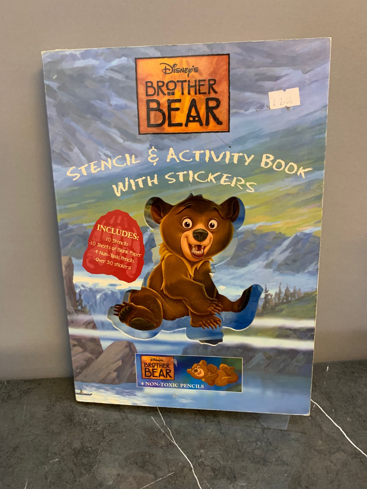 Disney's Brother Bear Stencil & Activity Book with Stickers
