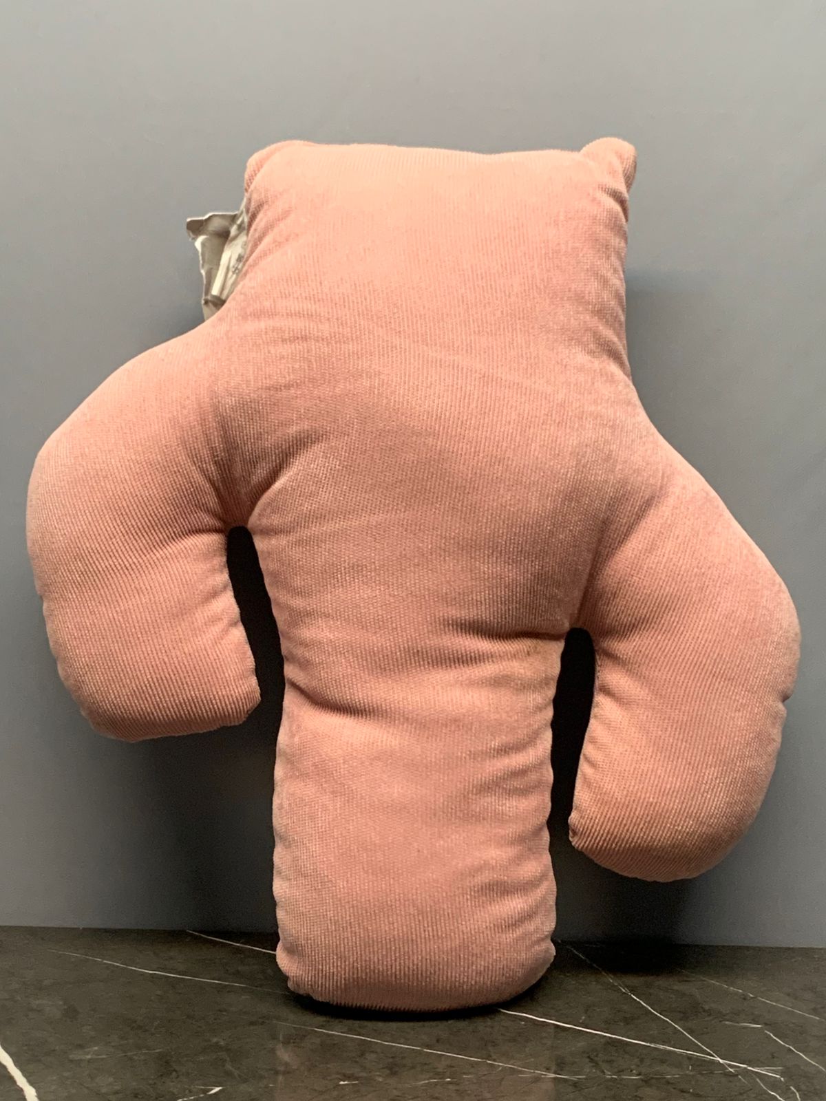 Cactus Corduroy Pillow.