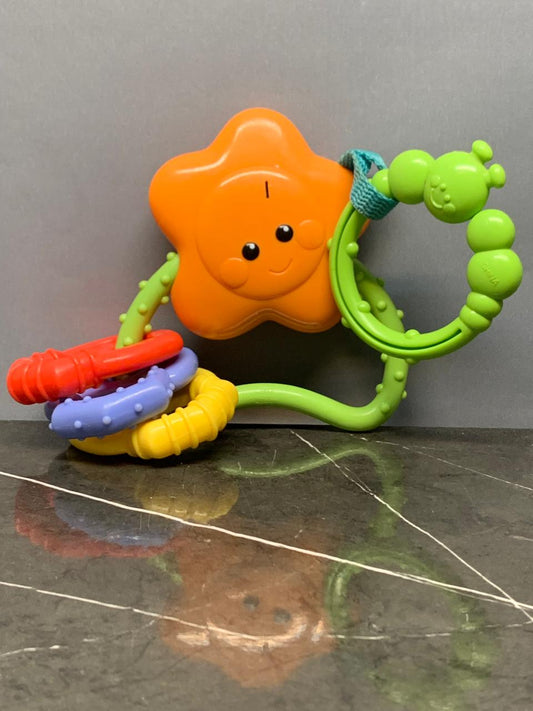 Fisher-Price Flowering Fun Stroller Toy.