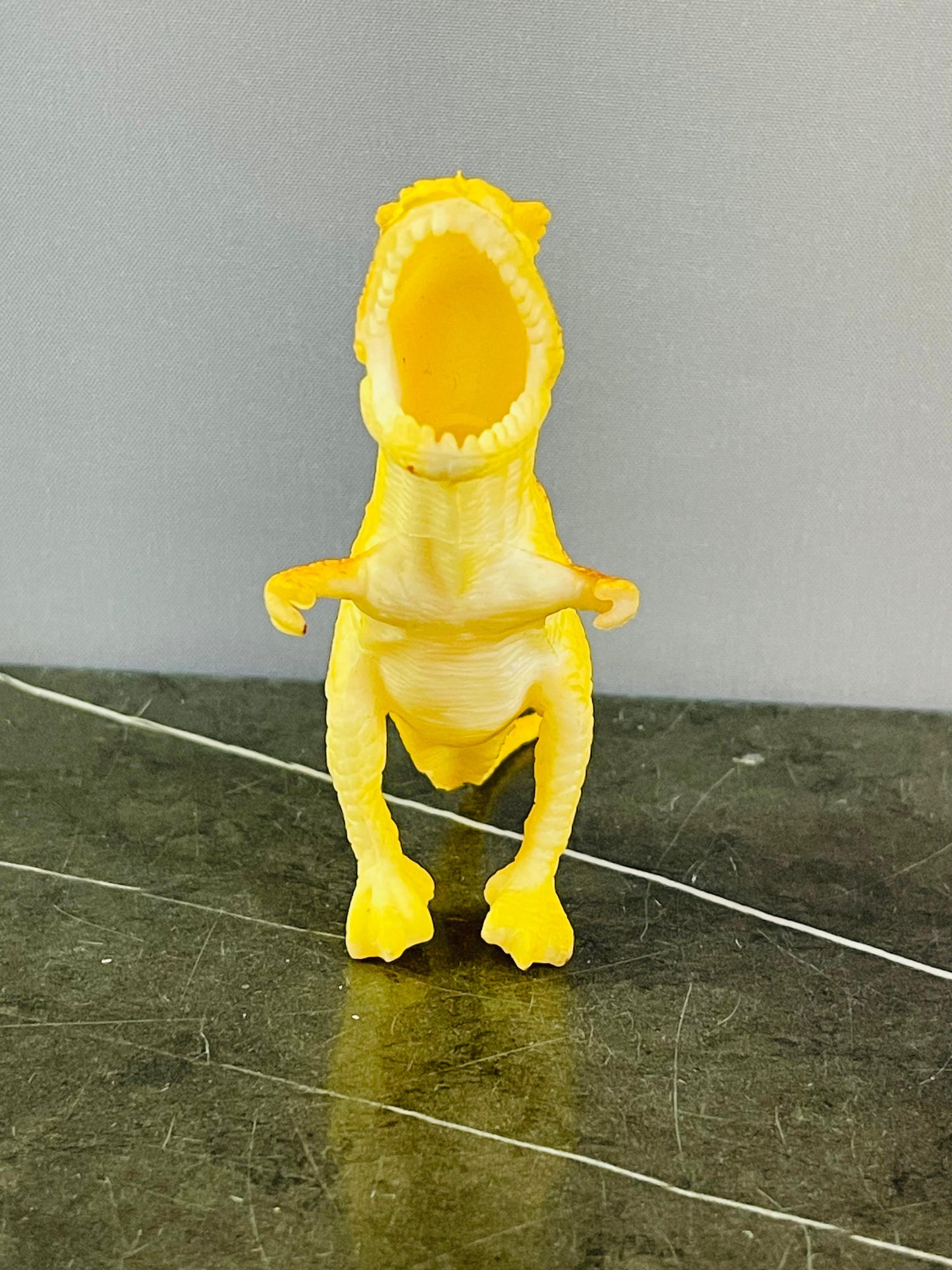 Tyrannosaurus Rex Toy.