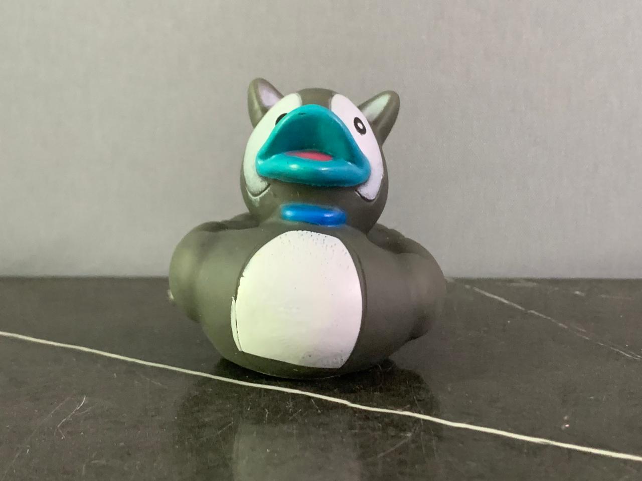 Rubber Ducky.