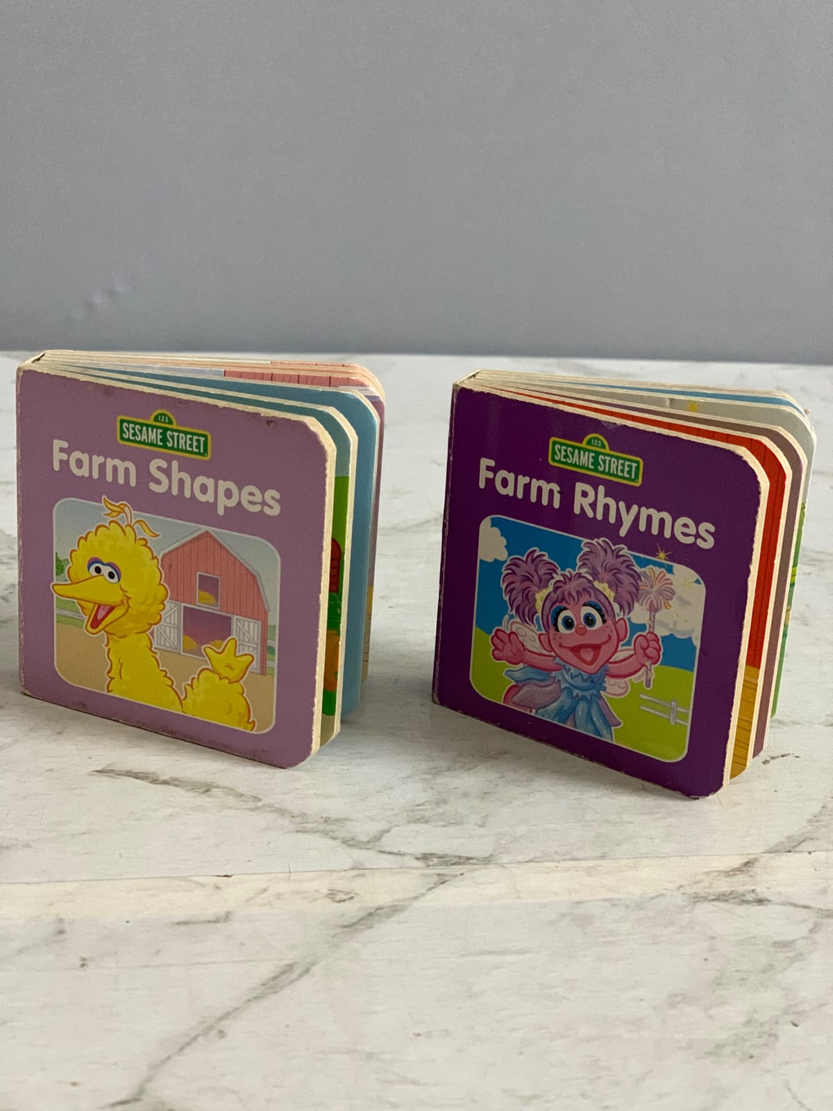 Sesame Street Mini Board Books.