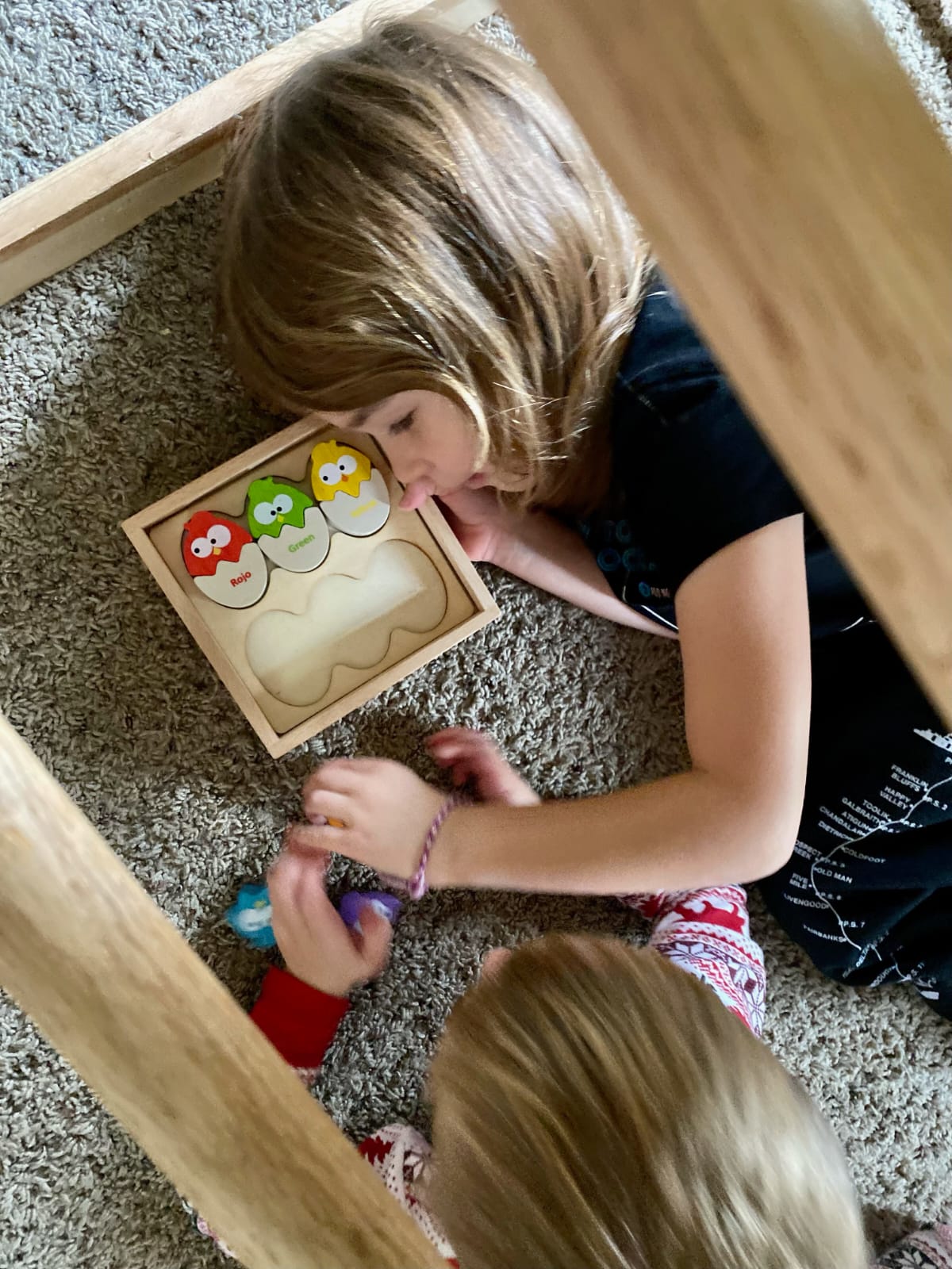 BeginAgain Color 'N Eggs Matching Puzzle.