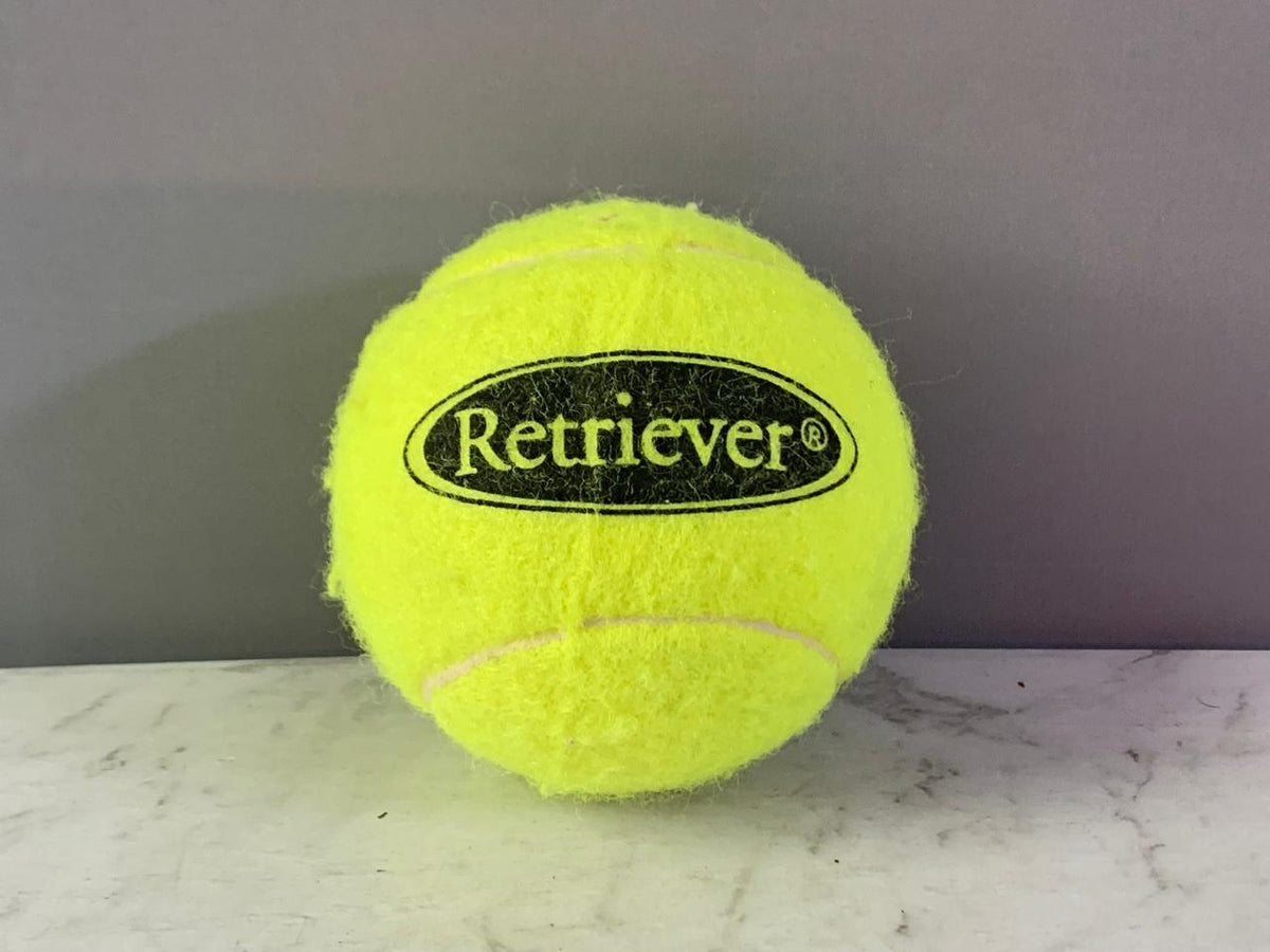 Retriever Tennis Ball
