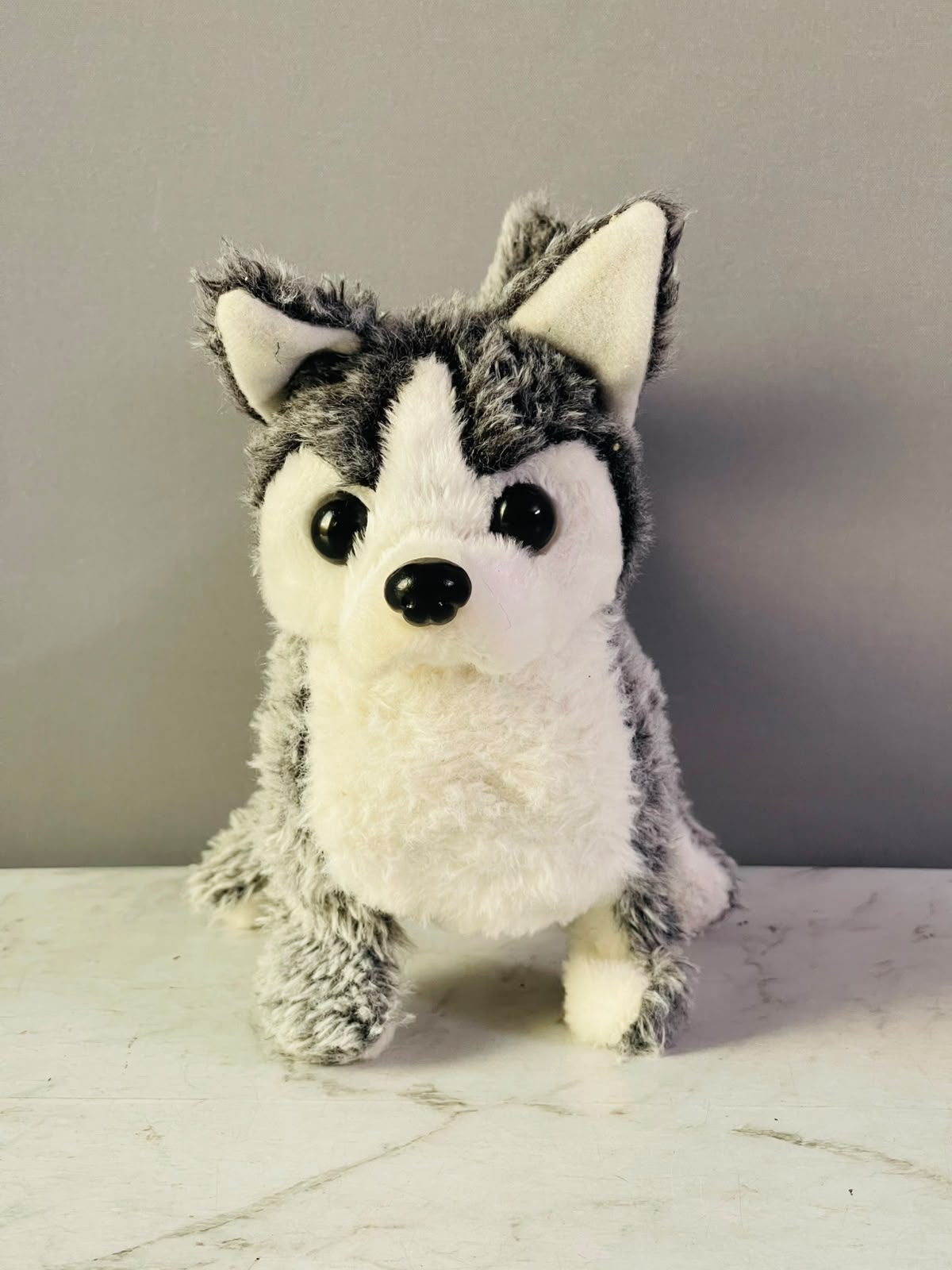 Husky Pet Plush.(music isn’t working) (Rs 250 advance)