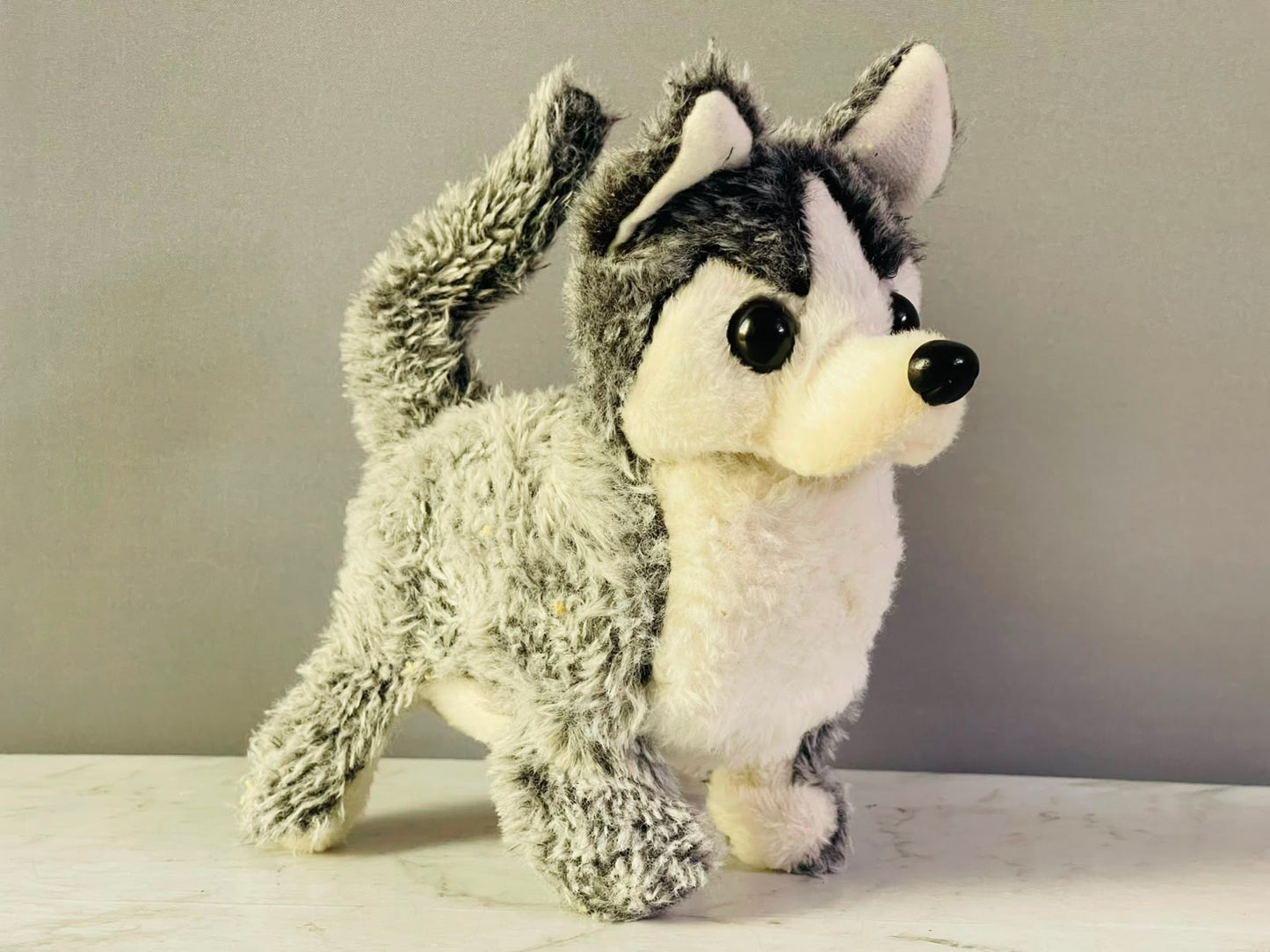 Husky Pet Plush.(music isn’t working) (Rs 250 advance)