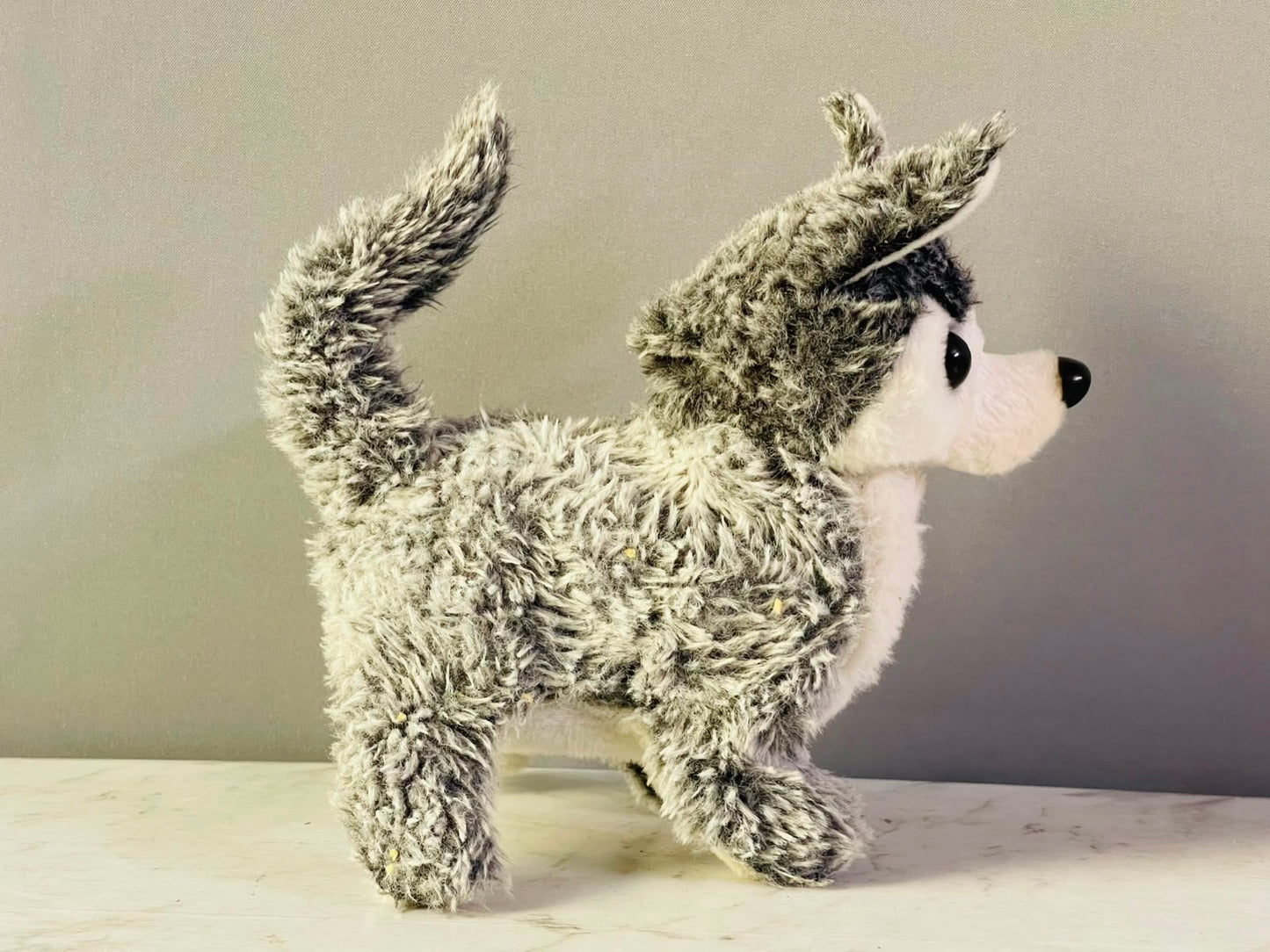 Husky Pet Plush.(music isn’t working) (Rs 250 advance)