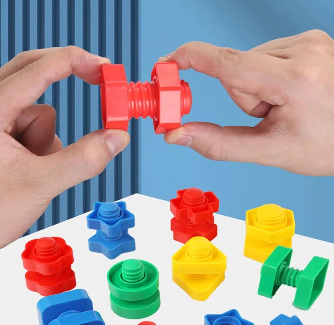 Nuts And Bolts Building Block Set. (Rs 250 advance)