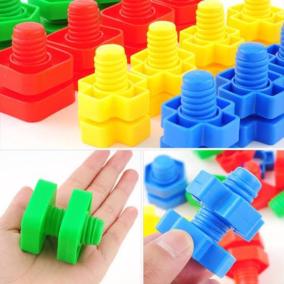 Nuts And Bolts Building Block Set. (Rs 250 advance)