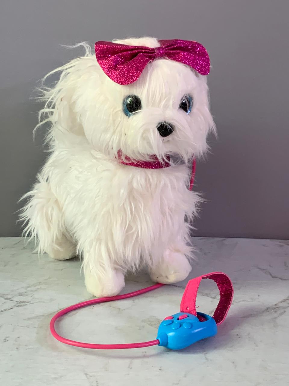 Pets Alive Lil, Paw Paw The Walking Puppy Robotic Toy.(leg broken)(Rs 250 advance)