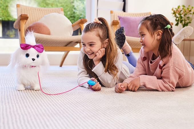 Pets Alive Lil, Paw Paw The Walking Puppy Robotic Toy.(leg broken)(Rs 250 advance)