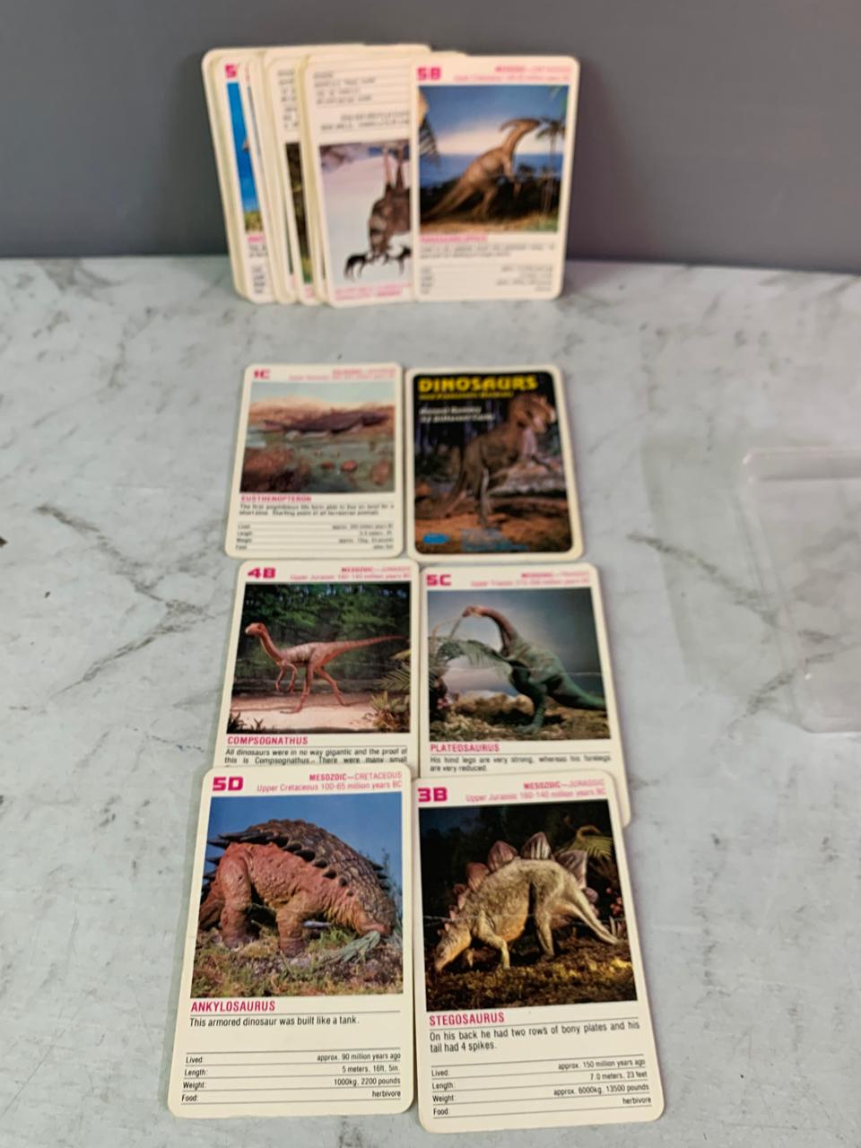 Safari Ltd Dinosaurs and Prehistoric Animals Animal Rummy Card Game.(28 cards) (Rs 200 advance)